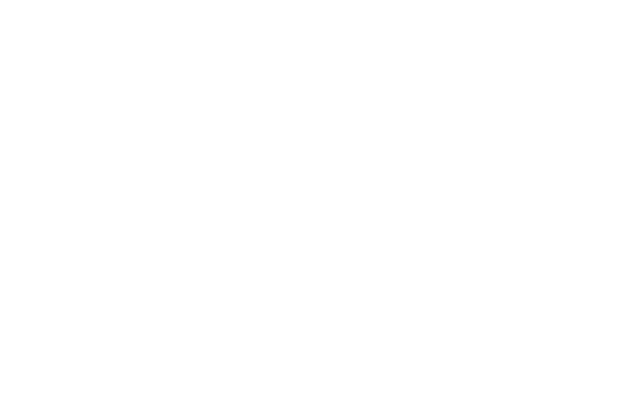 Miami Magic Maids
